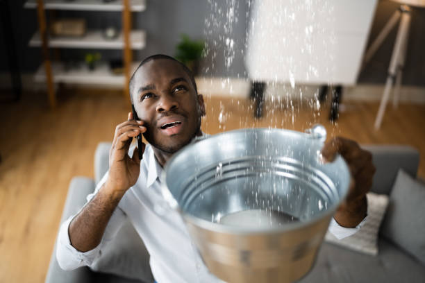 Best Water damage cleanup near me  in Felida, WA