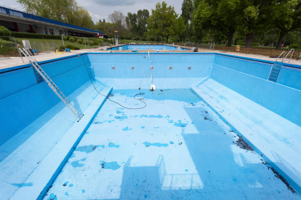 Best Water damage cleanup near me  in Felida, WA