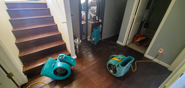 Best Ceiling water damage repair  in Felida, WA