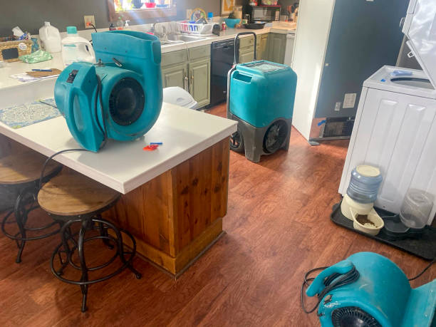 Best Basement water damage restoration  in Felida, WA