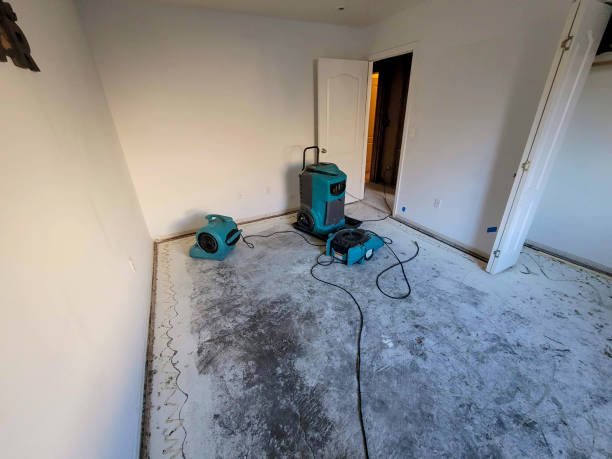 Best Water damage contractors near me  in Felida, WA