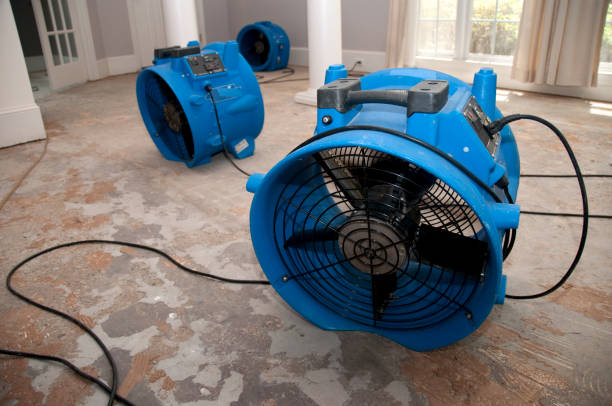 Local water damage restoration in WA