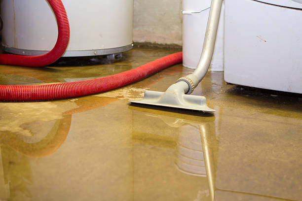 Best Water damage restoration near me  in Felida, WA