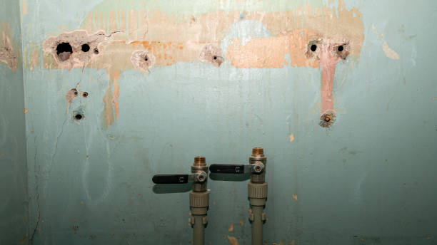 Best Flood restoration services  in Felida, WA