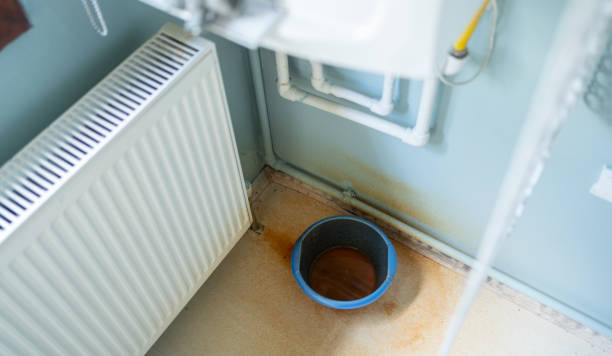 Best Flooded house restoration  in Felida, WA