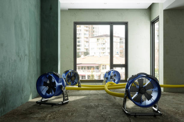 Best 24/7 water damage repair  in Felida, WA