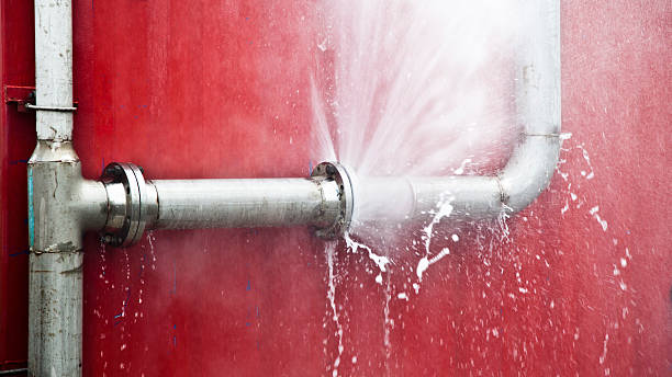 Best 24-hour water damage restoration  in Felida, WA